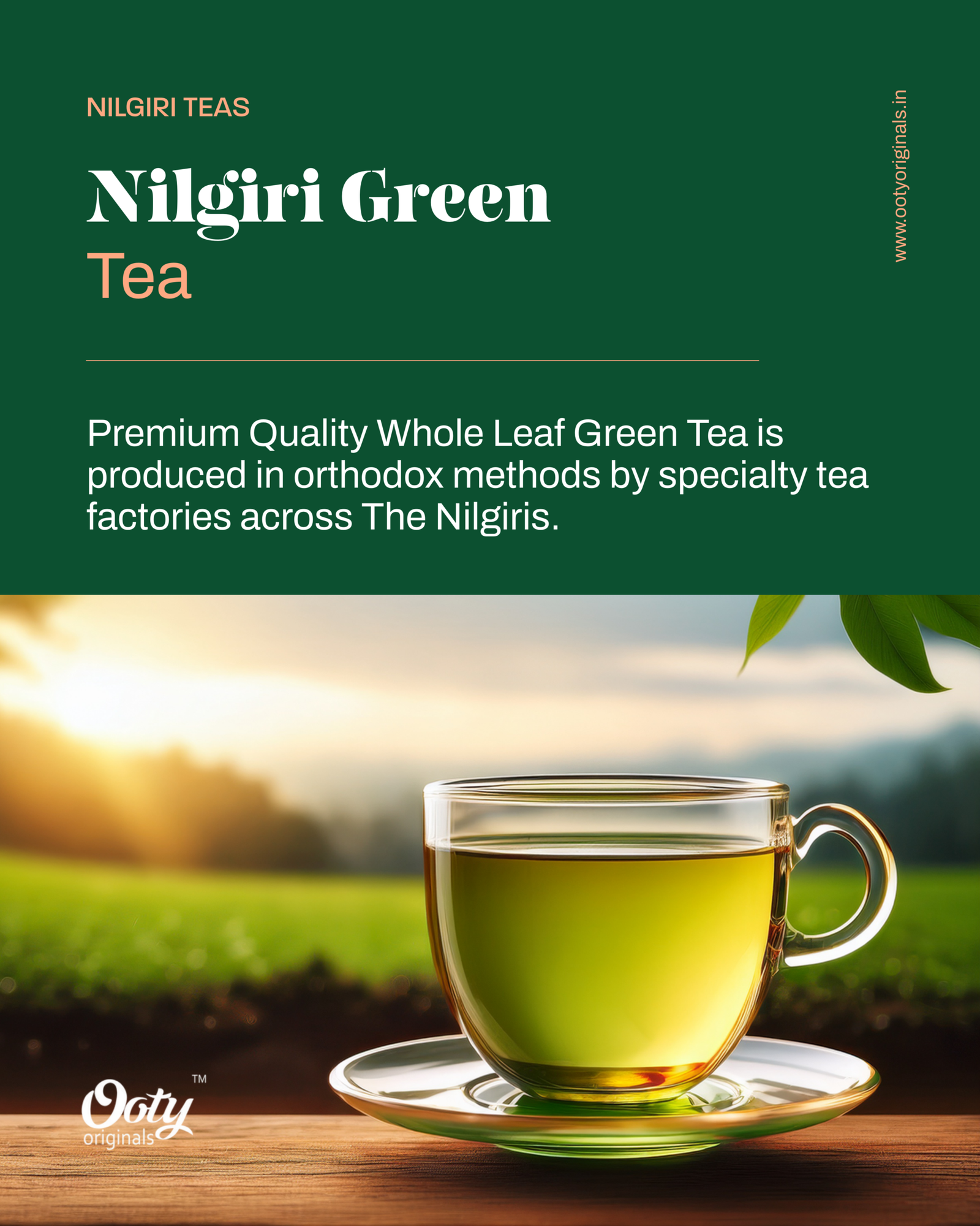 Nilgiri Green Tea 150g - Ooty Originals