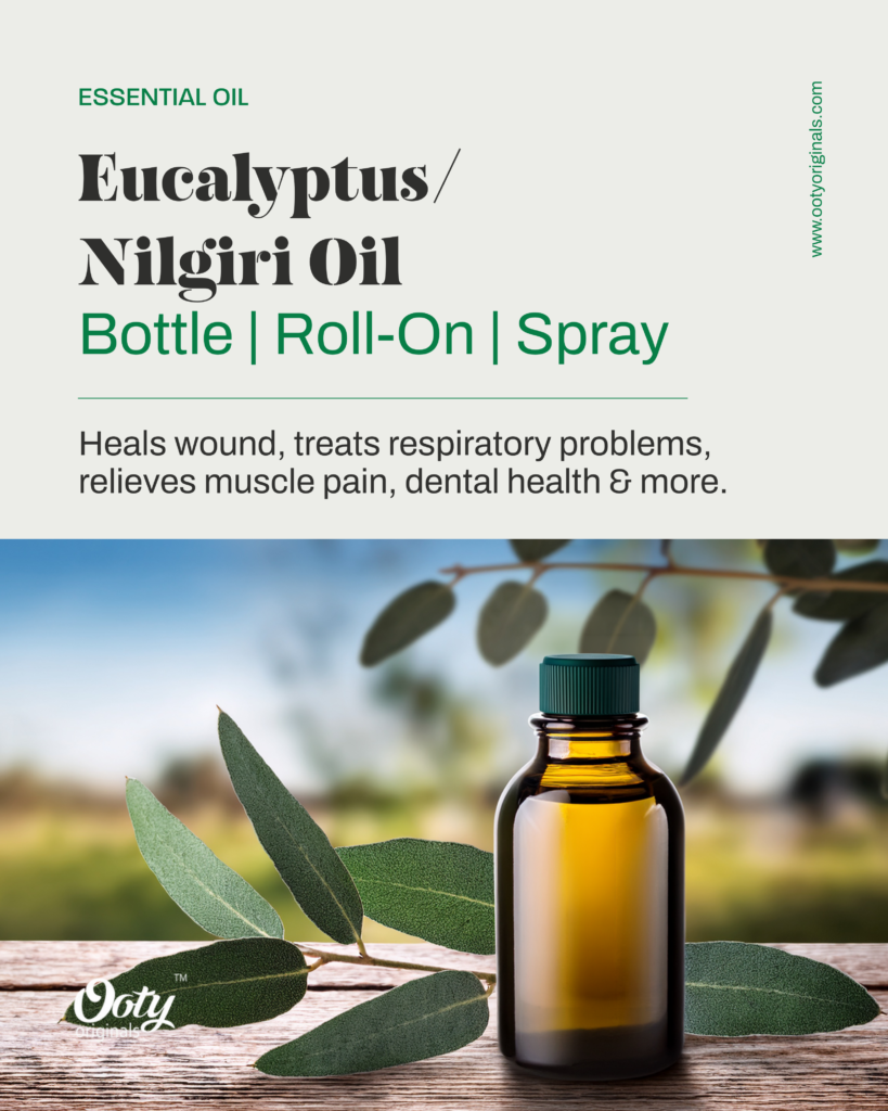 Pure-Nilgiri-Eucalyptus-Oil-Bottle-Ooty-Originals