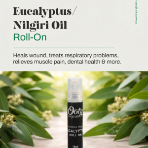 Eucalyptus Roll-on Eucalyptus Roll-on
