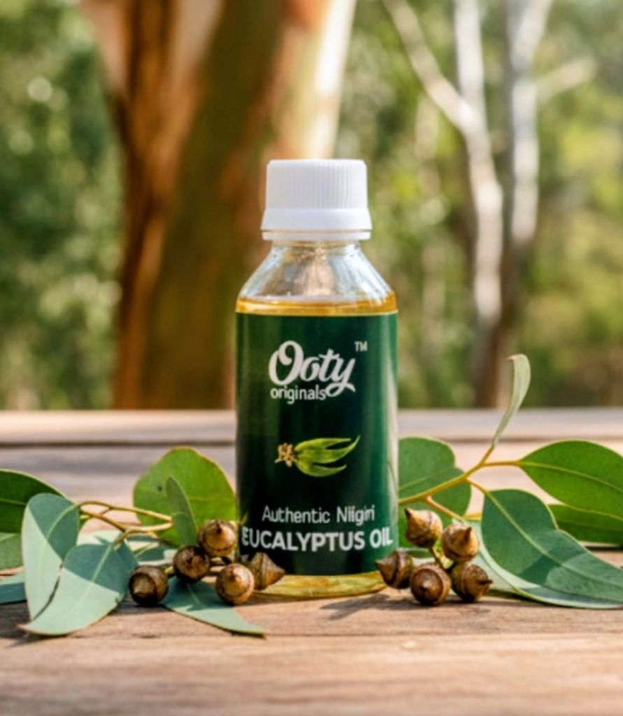 Eucalyptus Oil / Nilgiri Oil