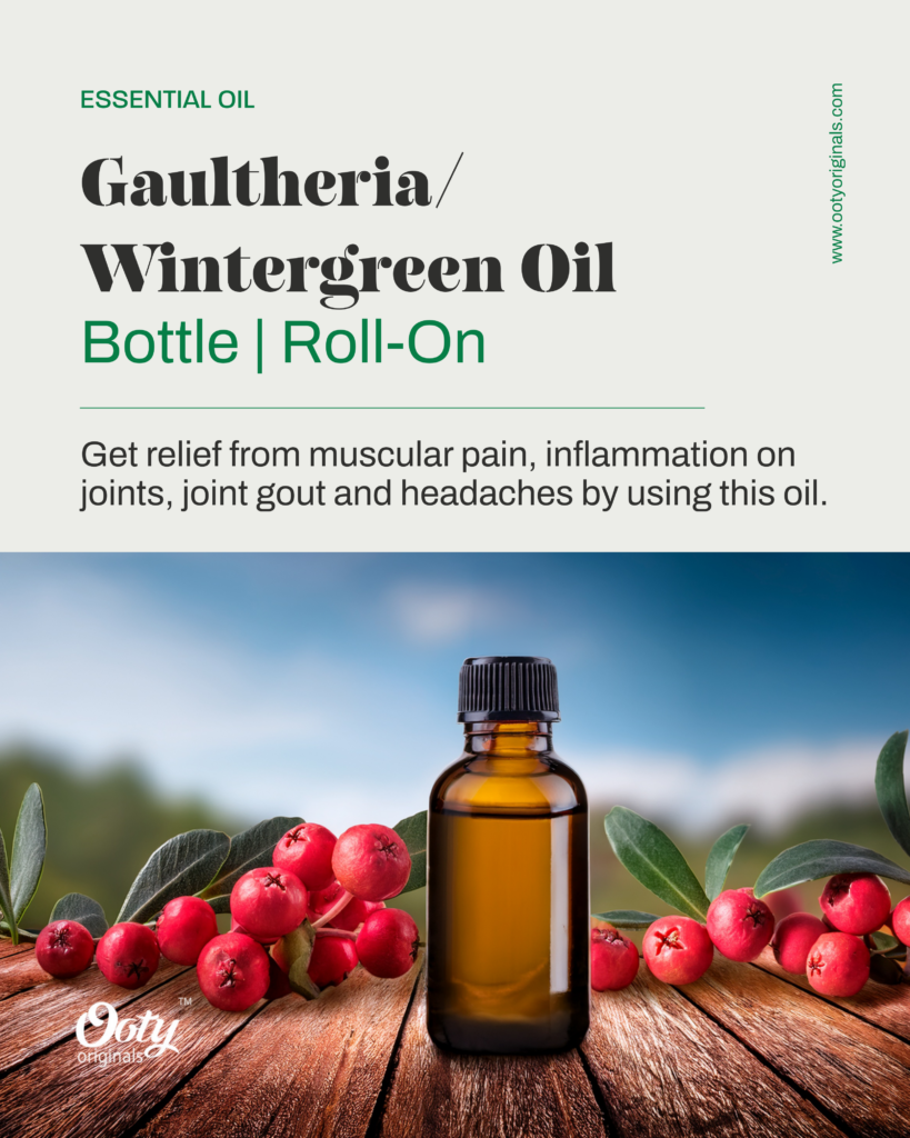 Pure Nilgiri Gaultheria (Wintergreen) Oil for Joint & Muscle Pain Relief
