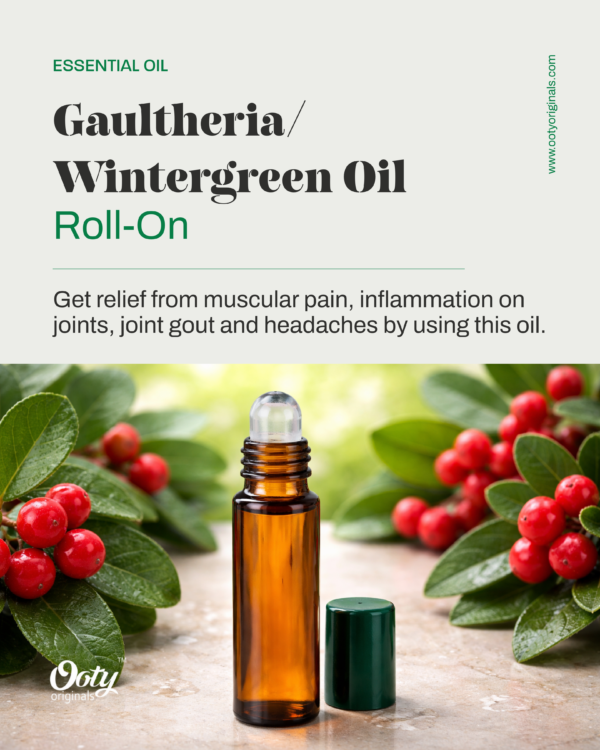 Gaultheria/Wintergreen Oil Roll-on