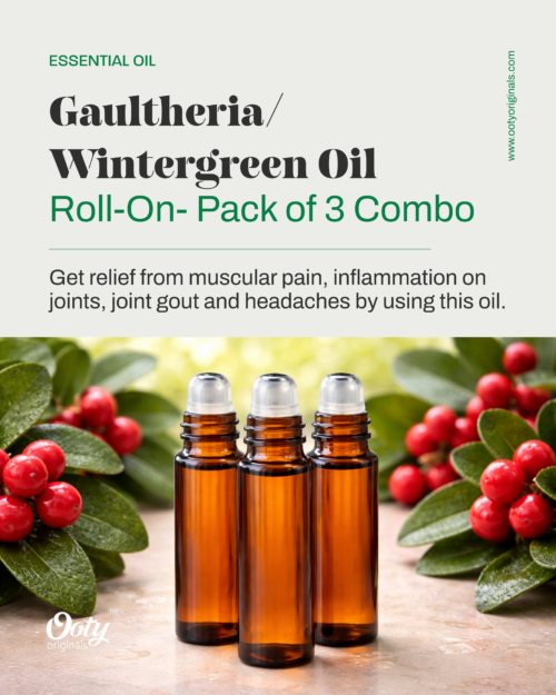 Gaultheria/Wintergreen Oil Roll-on Set of 3 Combo