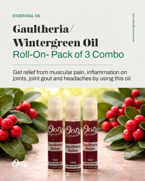 Gaultheria Roll-on Combo Set Gaultheria-Roll-on-Combo-Set-of-3
