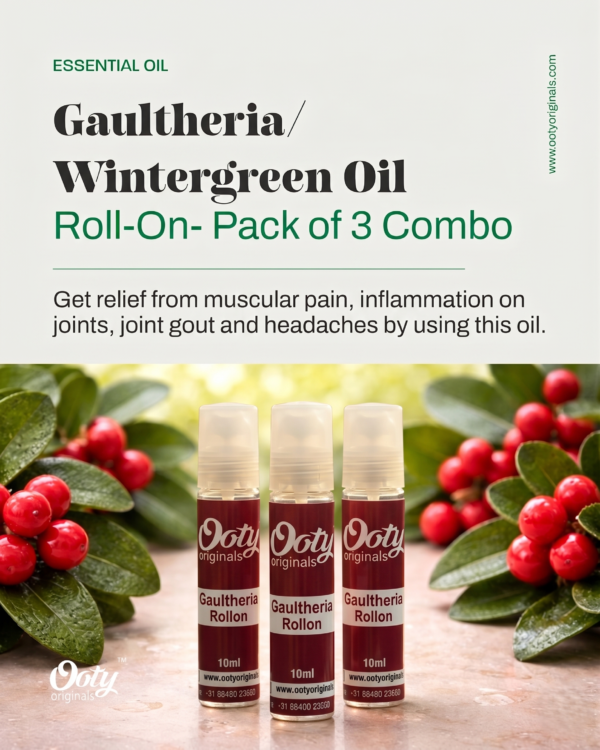 Gaultheria-Roll-on-Combo-Set-of-3