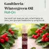 Gaultheria-Rollon