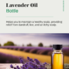 Lavender Oil