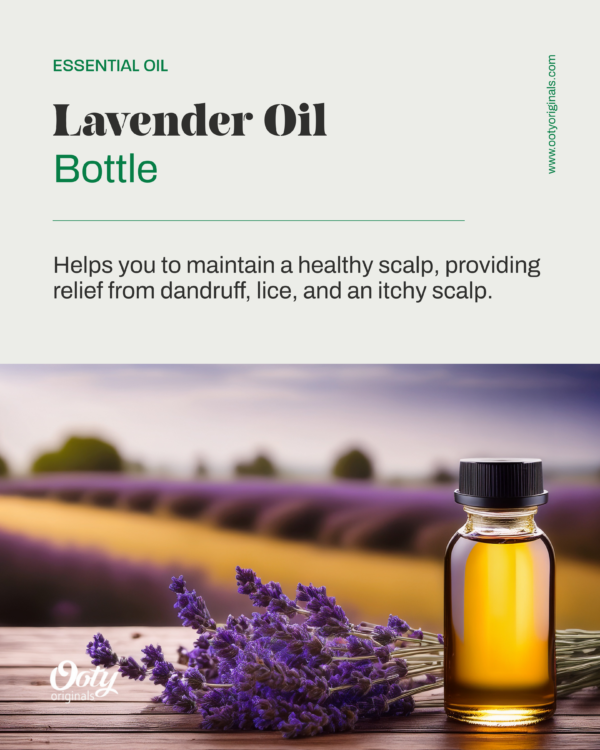 Lavender Oil