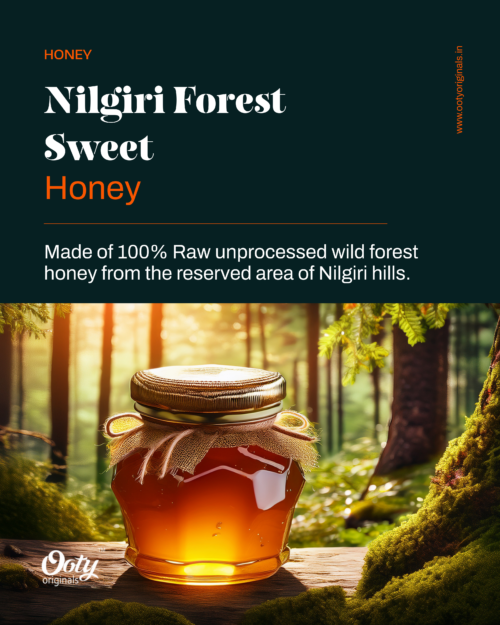 Nilgiri Forest Honey Sweet
