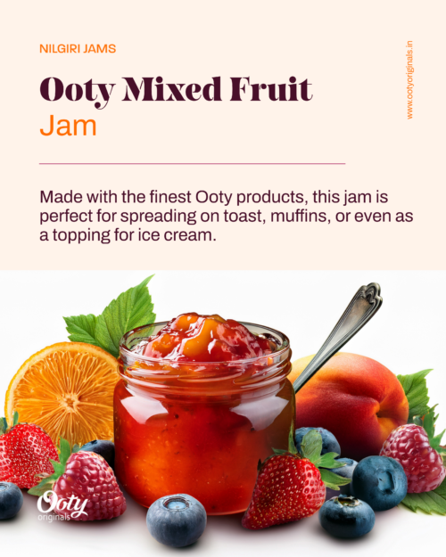 Ooty Mixed Fruit Jam