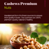 Cashew Nuts Premium