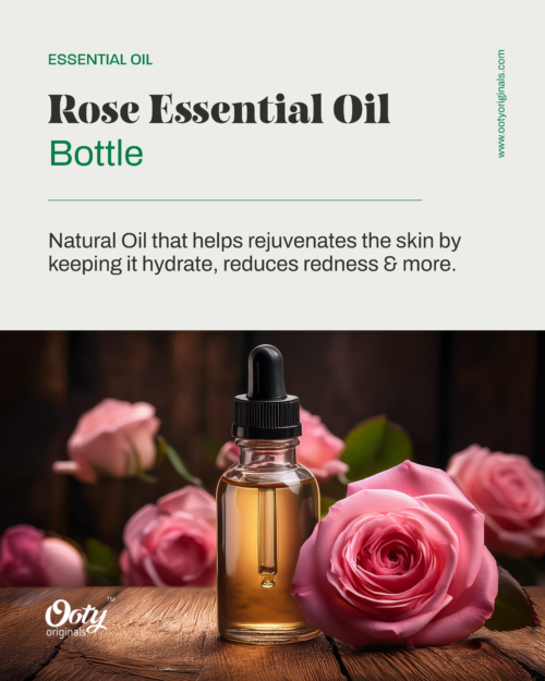 Rose Essential Oil