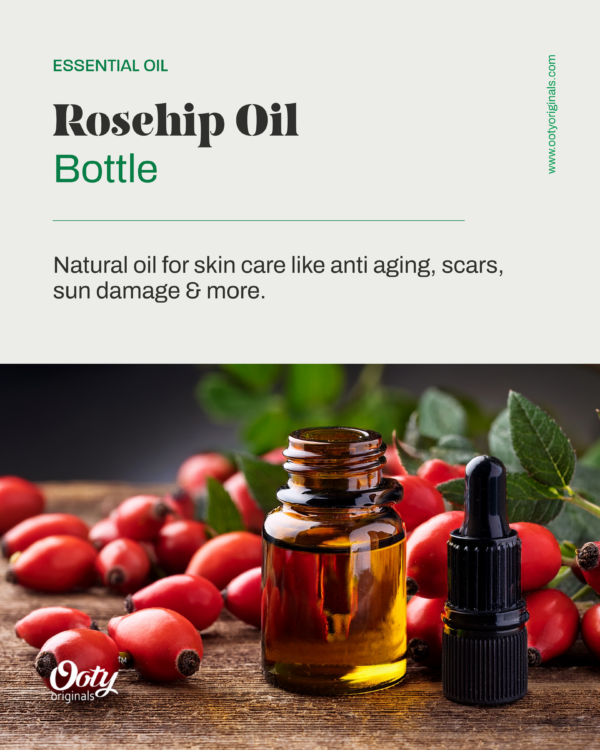 Rosehip Oil