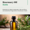 Rosemary Oil