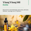 Ylang Ylang Oil