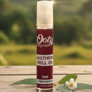 Gaultheria Rollon