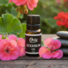 Geranium Oil