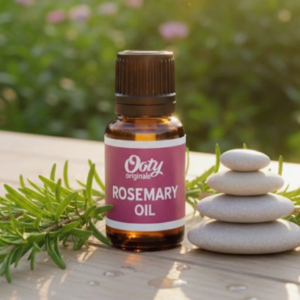Rosemary Oil / Rosmarinus Officinalis Oil