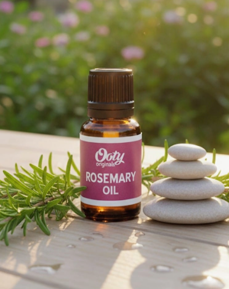 Rosemary Oil | Rosmarinus Officinalis Oil 