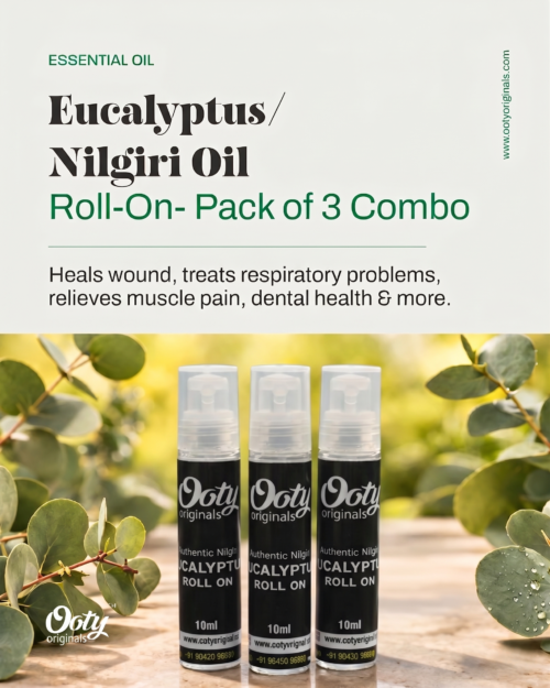 Eucalyptus Oil Roll-On Set of 3 Combo