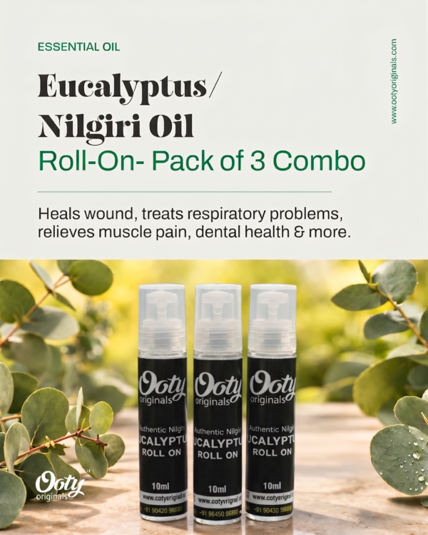 Eucalyptus Oil Roll-On Set of 3 Combo