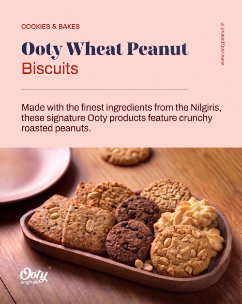 Ooty-Wheat-Peanut-Biscuits